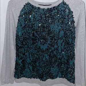 Zara Basic Sequin/lace sweater